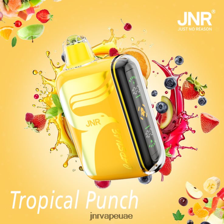 JNR كبسولة لكمة الاستوائية P8JB6871 JNR vape UAE