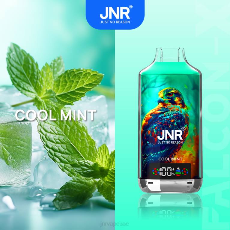 JNR FALCON س 4B2B3 JNR vape abu dhabi نعناع منعش